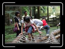 IMG_1134 * 850 x 608 * (244KB)