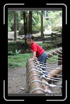 IMG_1140 * 566 x 910 * (237KB)