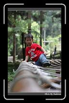 IMG_1141 * 566 x 910 * (249KB)