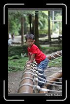 IMG_1142 * 566 x 910 * (221KB)
