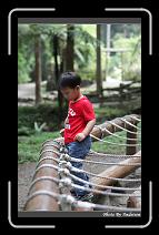 IMG_1144 * 566 x 910 * (225KB)