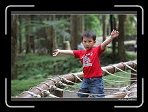IMG_1146 * 850 x 608 * (225KB)