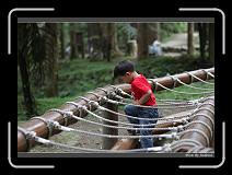 IMG_1148 * 850 x 608 * (236KB)