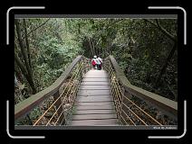 IMG_1155 * 850 x 608 * (246KB)