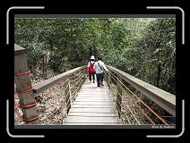 IMG_1157 * 850 x 608 * (249KB)