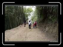 IMG_1161 * 850 x 608 * (245KB)