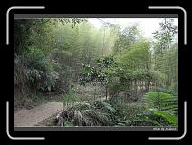 IMG_1170 * 850 x 608 * (250KB)