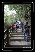 IMG_1176 * 566 x 910 * (245KB)