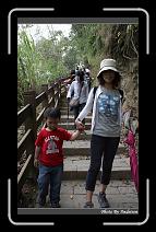 IMG_1177 * 566 x 910 * (243KB)