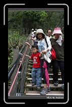 IMG_1200 * 566 x 910 * (243KB)
