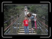 IMG_1219 * 850 x 608 * (247KB)