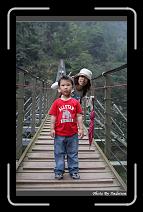 IMG_1226 * 566 x 910 * (234KB)