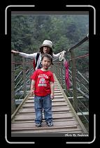 IMG_1229 * 566 x 910 * (237KB)