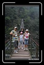 IMG_1235 * 566 x 910 * (243KB)