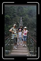 IMG_1237 * 566 x 910 * (243KB)