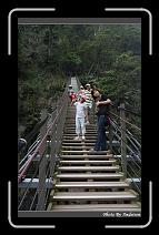 IMG_1267 * 566 x 910 * (241KB)