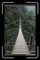 IMG_1269 * 566 x 910 * (247KB)