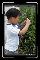 DSC00078 * 565 x 910 * (248KB)