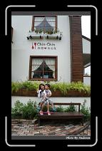 DSC00091 * 565 x 910 * (243KB)