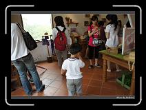 DSC00109 * 850 x 607 * (248KB)
