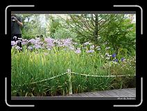 DSC00121 * 850 x 607 * (249KB)