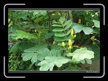 DSC00130 * 850 x 607 * (245KB)