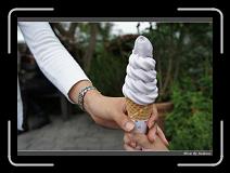 DSC00135 * 850 x 607 * (234KB)