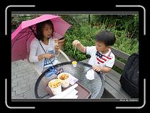 DSC00140 * 850 x 607 * (242KB)