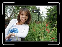 DSC00159 * 850 x 607 * (244KB)
