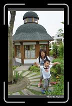 DSC00178 * 565 x 910 * (249KB)