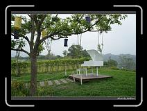 DSC00203 * 850 x 607 * (248KB)