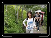 IMG_1306 * 850 x 608 * (234KB)