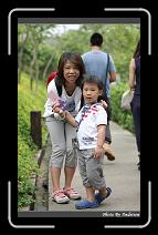 IMG_1310 * 566 x 910 * (247KB)