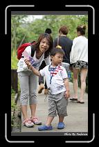 IMG_1311 * 566 x 910 * (233KB)