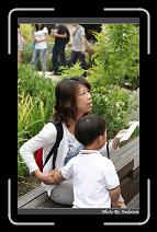 IMG_1326 * 566 x 910 * (231KB)