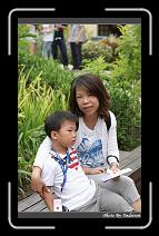 IMG_1327 * 566 x 910 * (234KB)