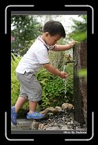 IMG_1337 * 566 x 910 * (237KB)