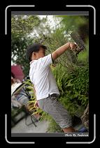 IMG_1339 * 566 x 910 * (231KB)