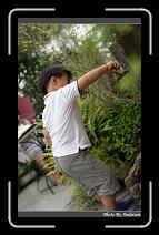 IMG_1340 * 566 x 910 * (246KB)