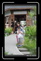 IMG_1347 * 566 x 910 * (219KB)