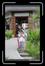 IMG_1348 * 566 x 910 * (218KB)
