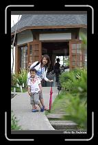 IMG_1350 * 566 x 910 * (232KB)