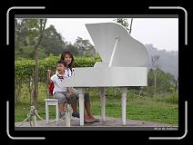 IMG_1366 * 850 x 608 * (227KB)