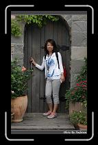 IMG_1374 * 566 x 910 * (242KB)