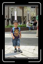 DSC00268 * 565 x 910 * (239KB)