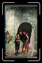 IMG_1481 * 566 x 910 * (249KB)