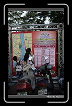IMG_1629 * 566 x 910 * (244KB)