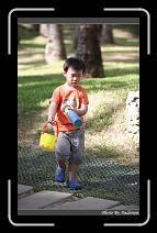 IMG_2116 * 566 x 910 * (239KB)