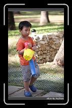 IMG_2117 * 566 x 910 * (249KB)