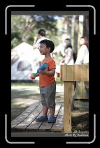 IMG_2144 * 566 x 910 * (216KB)